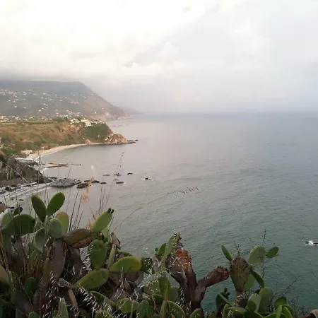 Grillo Capo Vaticano